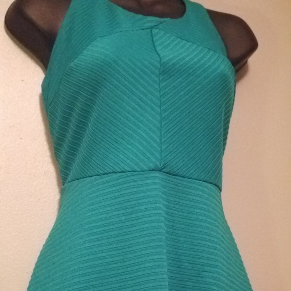 The Limited, skater style dress - Picture 3 of 3